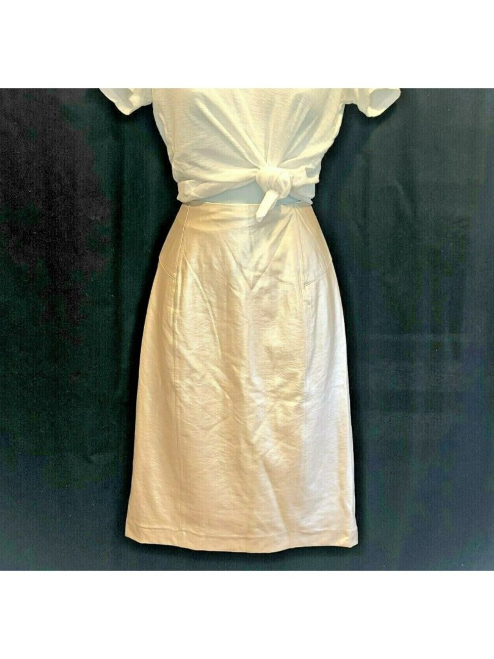 Lysse New York Faux Leather Skirt Pencil Champagne Pink Lined Vegan